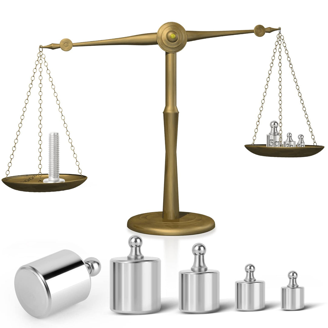 17 Pcs Scale Calibration Weight Kit, 10mg - 100g Precision Steel Calibration Weights, with Tweezers and Case for Digital Jewellery Scale Science Lab Weights Educational