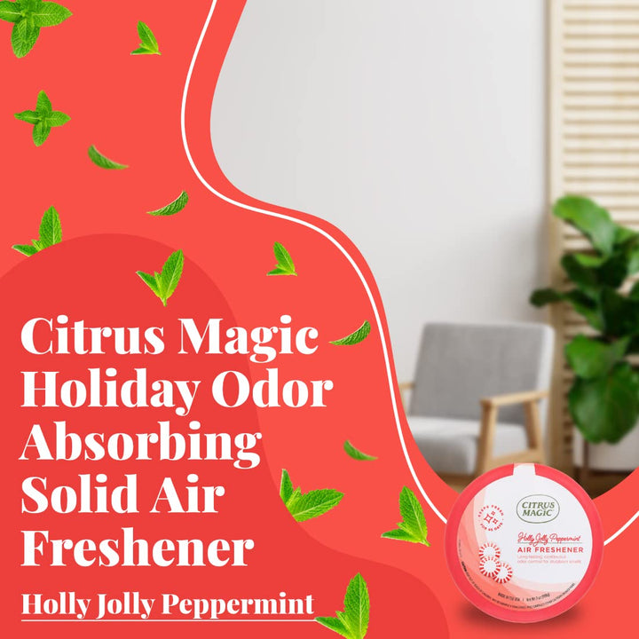 Citrus Magic 3-Pack Holiday Fragrance Solid Air Freshen