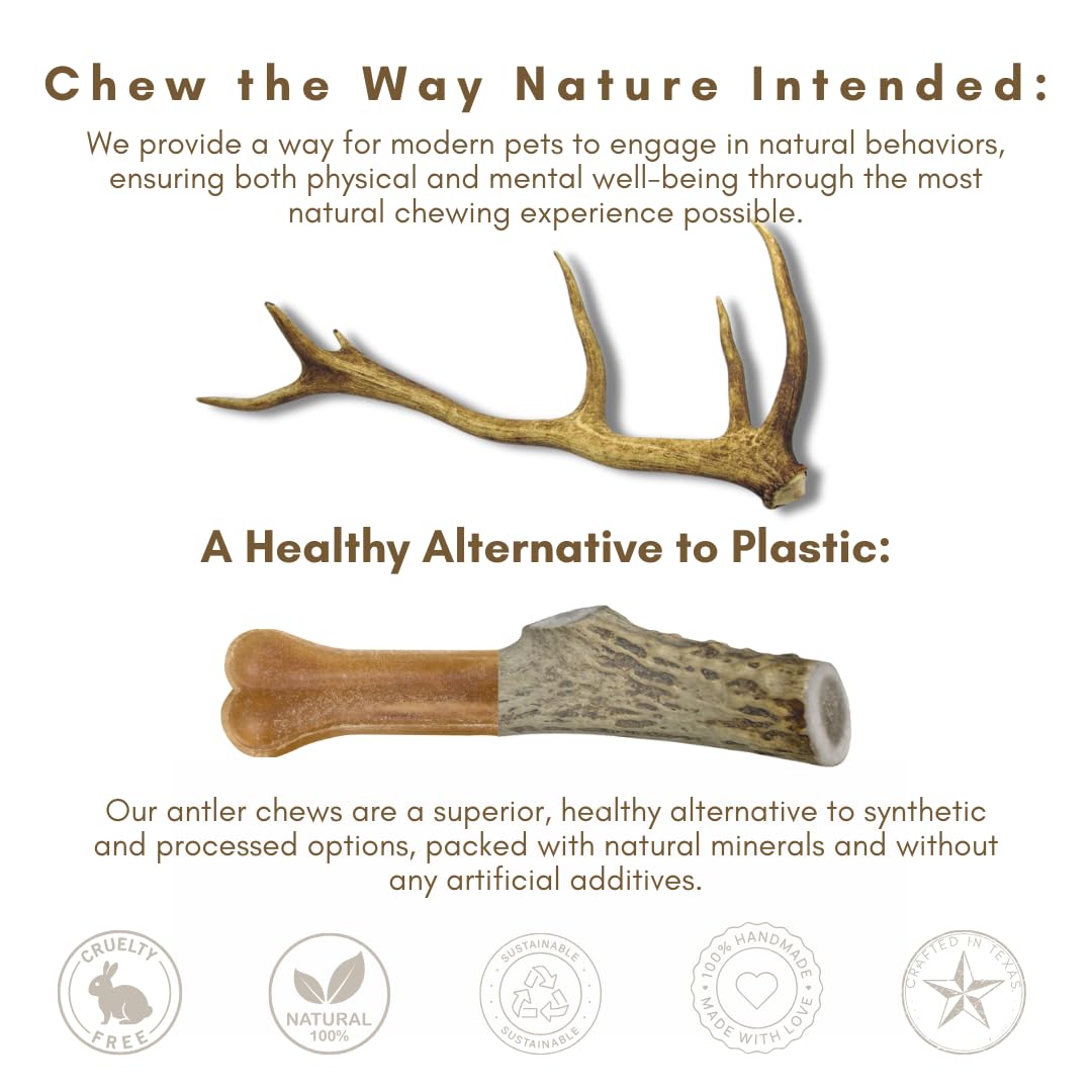- Antlers for Small Dogs (6 Pack) Deer Antler Dog Chew Bones for Small Aggressive Chewers - Long Lasting Horn Chew Toys - Naturally Shed
