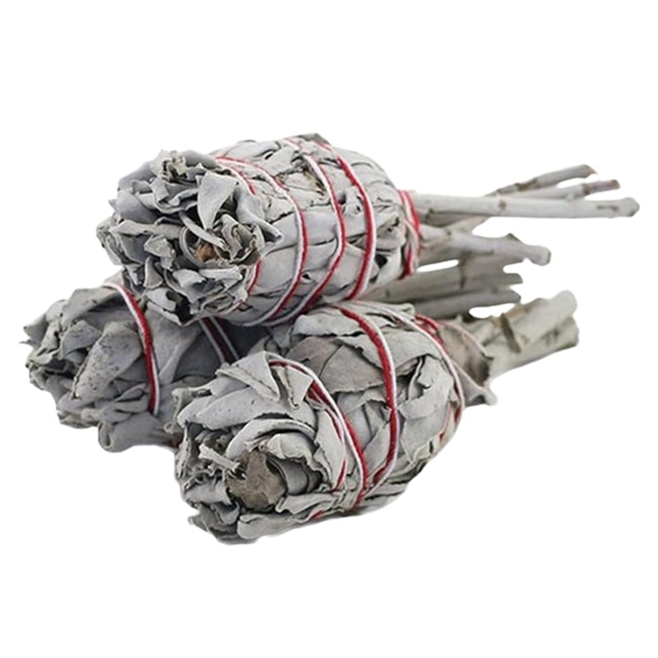 Smudge Sticks 3 Pack for Cleansing House, Meditation, Yoga, Negative Energy Cleanse, and Smudging with Starter Guide | 4 Inch Organic Sage Bundles (White Sage Torch)