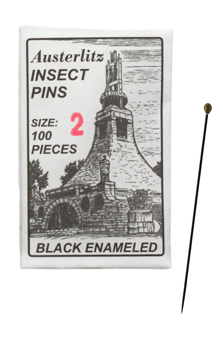 100PK Premium Insect Entomology Dissection Pins - Size 2 - Museum Grade
