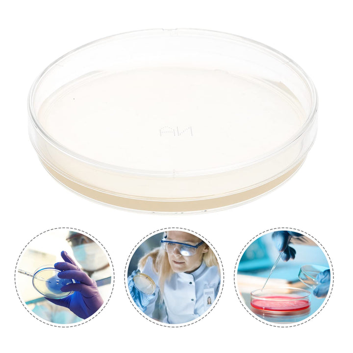 Agar Plates Petri Dishes- Great for Mushrooms, Molds,- 10 Pre- Poured Agar Petri Dishes- Also Great for Science Fair Projects
