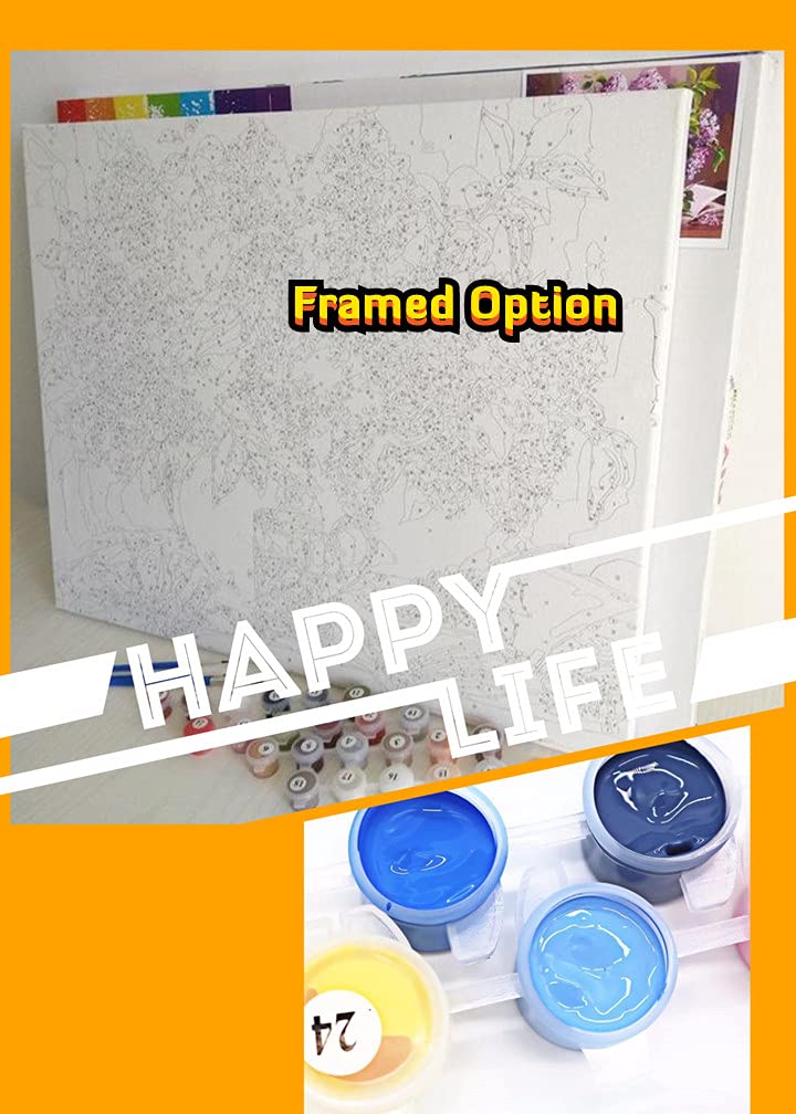 Meecaa Paint by Numbers Constellation Lion Shooter Kit for Adults Beginner DIY Oil Painting 16x20 inch (Constellation, Framed)