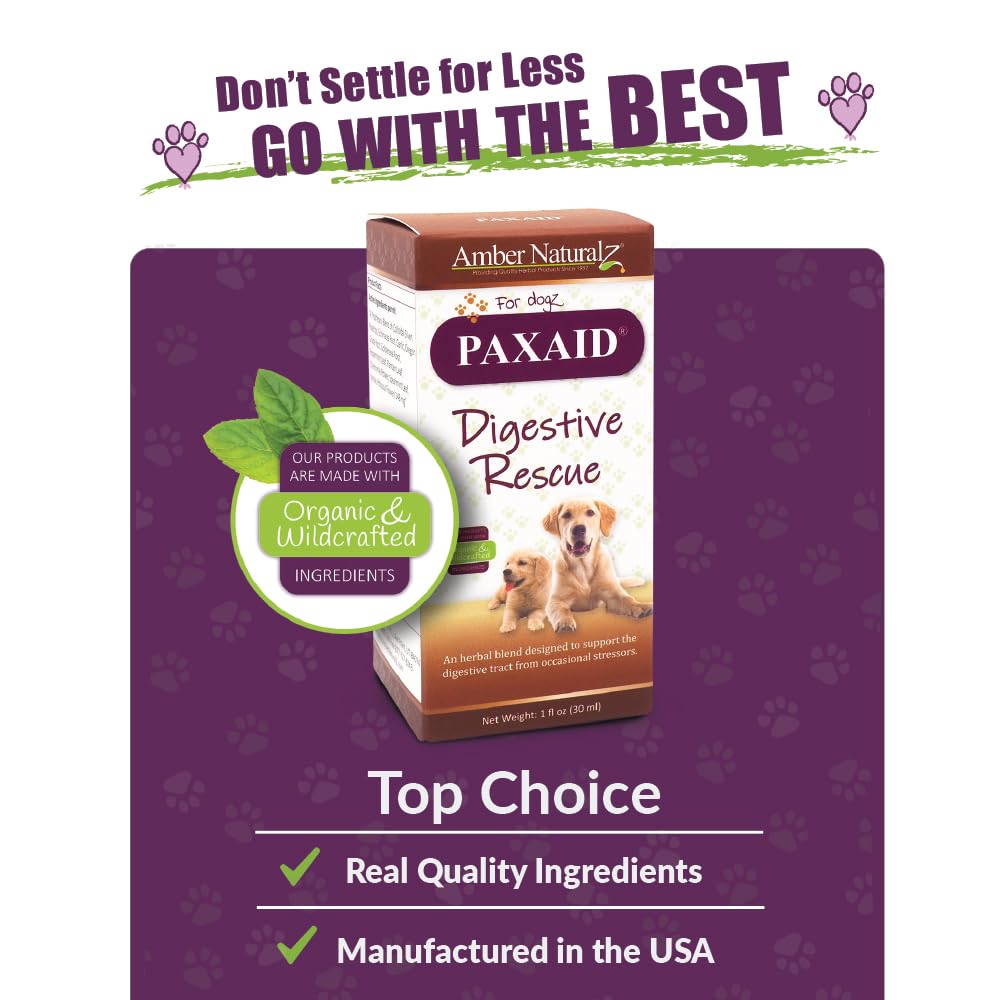 Amber NaturalZ Paxaid Digestive Rescue Herbal Supplement for Dogs and Puppies | Canine Herbal Supplement for Occasional Digestive Upset Support | 1 Fluid Ounce Glass Bottle | Manufactured in The USA