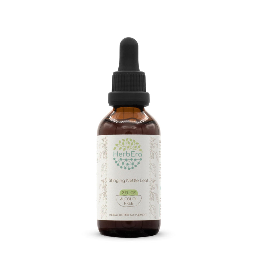 Stinging Nettle Leaf B60 Alcohol-Free Herbal Extract Tincture, Concentrated Liquid Drops Natural Stinging Nettle (Urtica Dioica) Dried Leaf (2 fl oz)