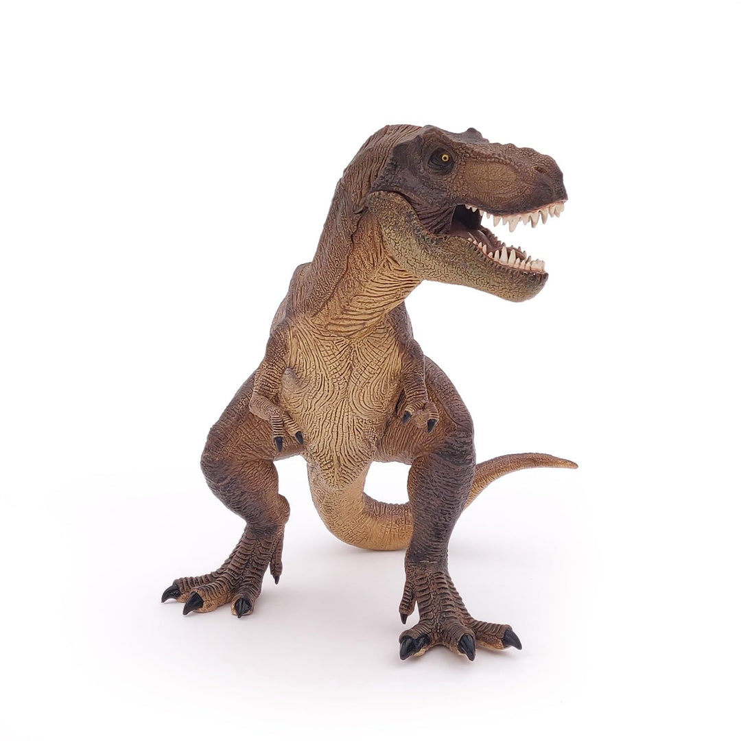 The Dinosaur Figure, Tyrannosaurus