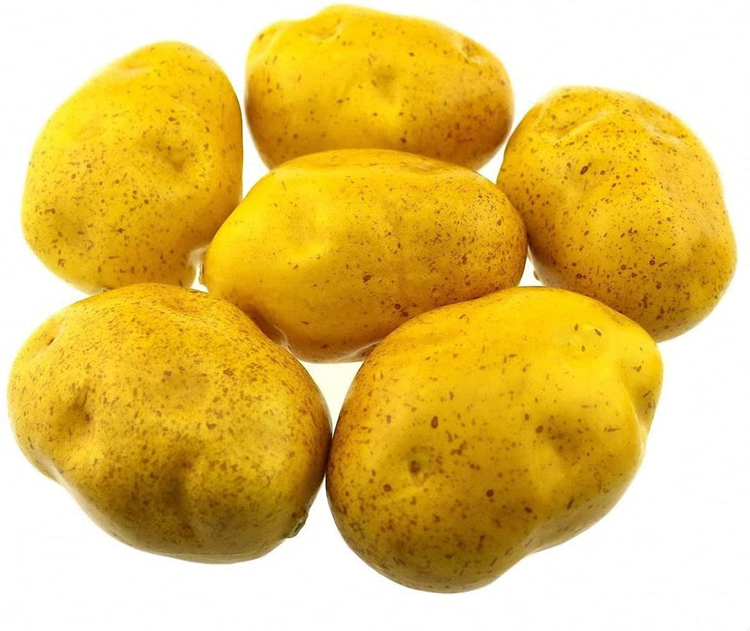 6PCS Realistic Artificial Fake Vegetables Lifelike Simulation Decorative Foam Food Imitation Potatoes Set Faux Veggies for Home Kitchen Party Decor