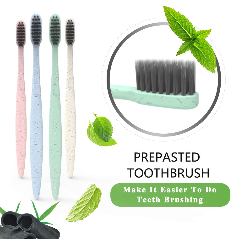 DR.PERFECT Prepasted Wheat Charcoal Toothbrush Individu
