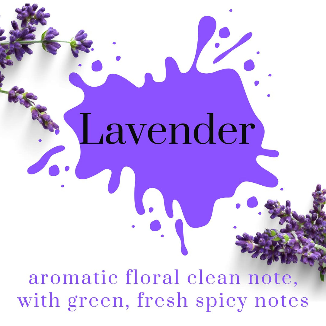 Air Jungles Lavender Scent Reed Diffuser Set with Sticks, Essential Incense Oil Air Freshener for Bathroom, Office, Gym, and Bedroom Fragrance, 3.4 fl. oz