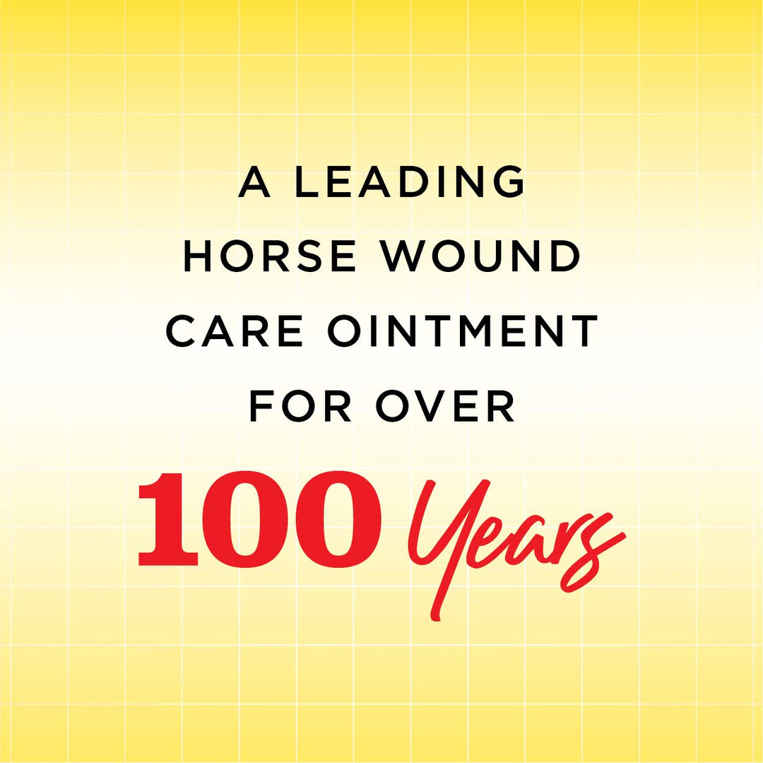 Manna Pro Corona Ointment for Horses | Lanolin-Based Formula Helps Sooth Irritation | 14 Ounces