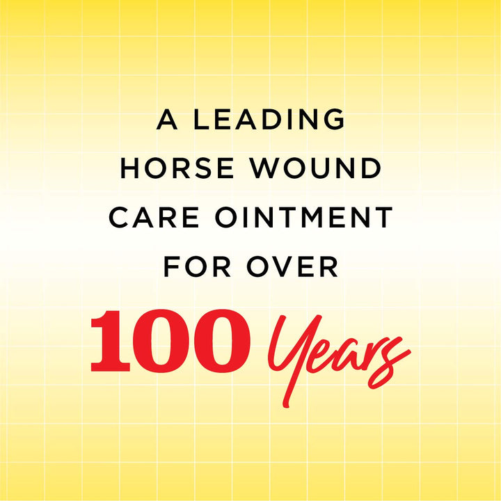 Manna Pro Corona Ointment for Horses | Lanolin-Based Formula Helps Sooth Irritation | 14 Ounces