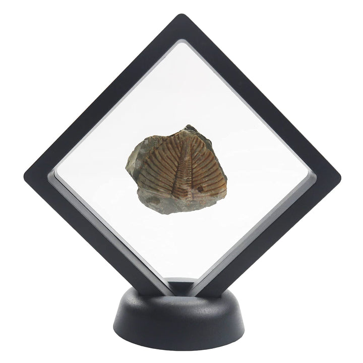 Challenge Coins Display Stand, Medallion Jewelry Specimen Holder, Military Medal Clear Floating Frame Case Box, 3.5x3.5x0.8