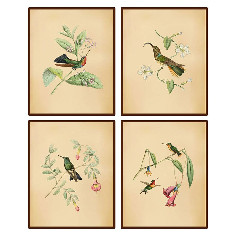 Vintage Birds Botanical Canvas Wall art Print,Tropical Birds Flowers Plants Illustration Decor,Birds Art Painting Poster, for Bird Lovers,Set of 4 (8X10) Unframed