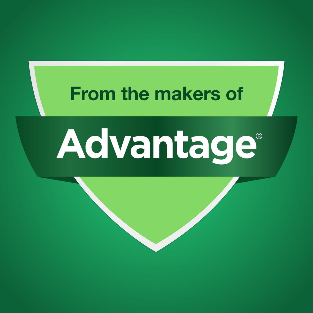 G4 Dog Joint Supplement Chews, 240-Count, for Dogs of All Ages, Sizes and Breeds