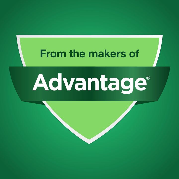 G4 Dog Joint Supplement Chews, 240-Count, for Dogs of All Ages, Sizes and Breeds