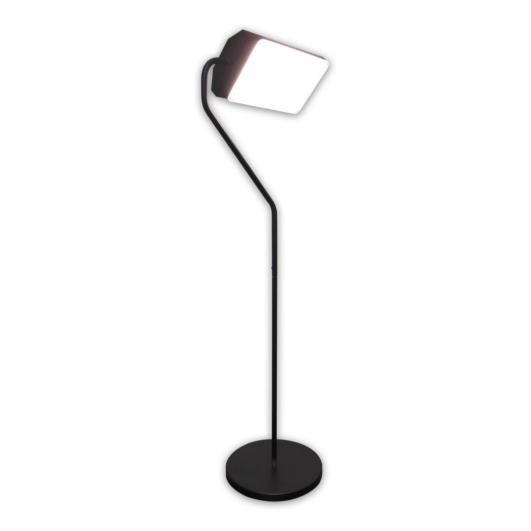 Northern Light Technology Flamingo 10,000 Lux Bright Light Therapy Floor Lamp, Black