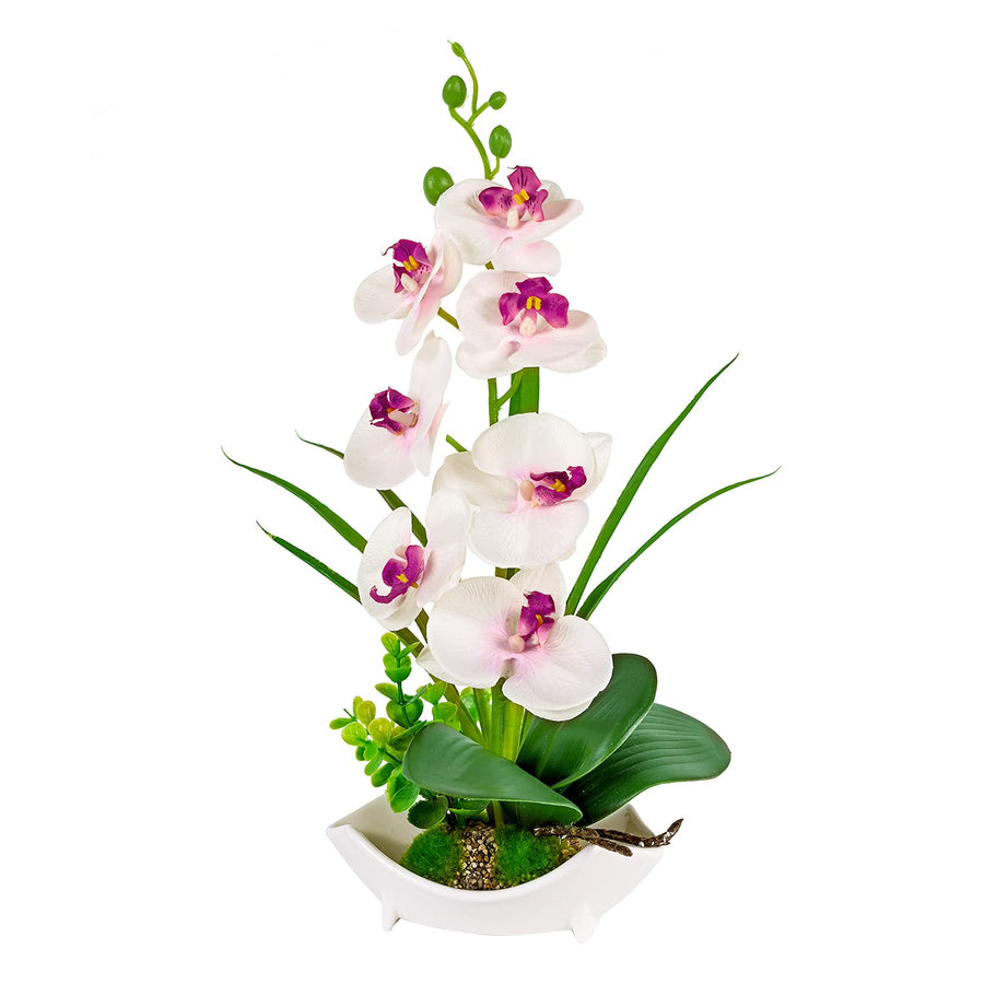 LIVILAN Phalaenopsis Orchid Purple Potted Orchids Decor