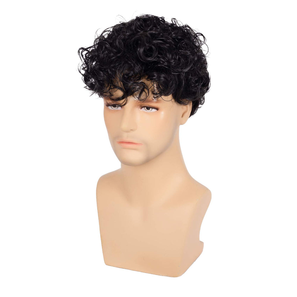 Short Curly Mens Black Wig Fluffy Synthetic Cosplay Halloween Hair Wig for Male Guy