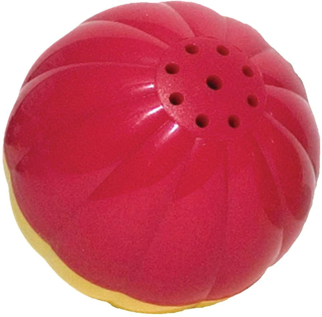 Animal Sounds Babble Ball - Interactive Chew Dog Toy - Large