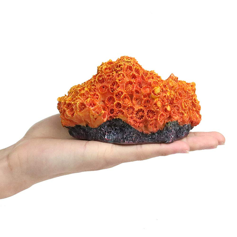 1Pc of Polyresin Coral Ornaments, Aquarium Coral Decor for Fish Tank Aquarium Decoration 5.11 x 3.93 x 2.75…