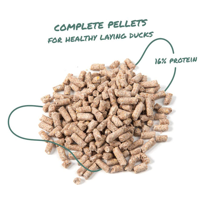 Manna Pro Duck & Goose Layer Pellets, High Protein for Increased Egg Production, Formulated with Probiotics to Supports Gut Health & Digestion, 8 lbs