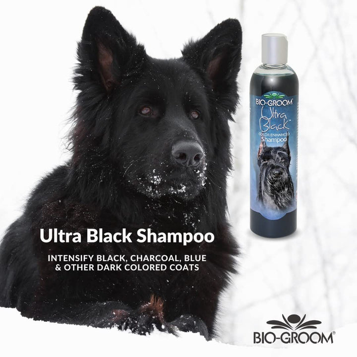 Bio-Groom Ultra-Black Dog Shampoo – Color Enhancing Pet Shampoo, Dog Bathing Supplies, Puppy Wash, Dog Grooming Supplies, Cruelty-Free, Made in USA, Coat Brightener Shampoo – 12 fl oz 1-Pack