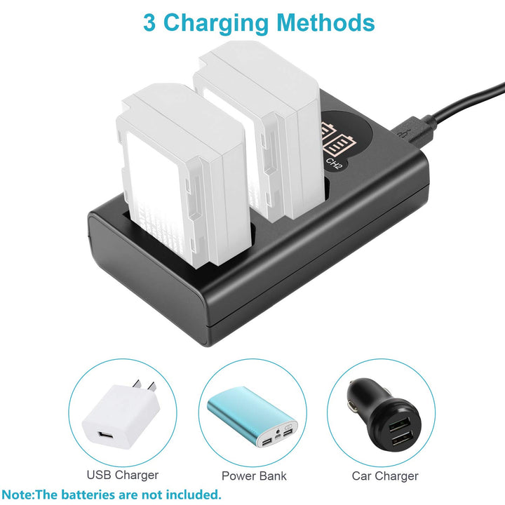 Neewer Dual USB Charger for Sony NP-FZ100 Battery, Comp