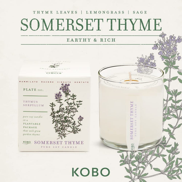 Somerset Thyme Candle with Plantable Box candle