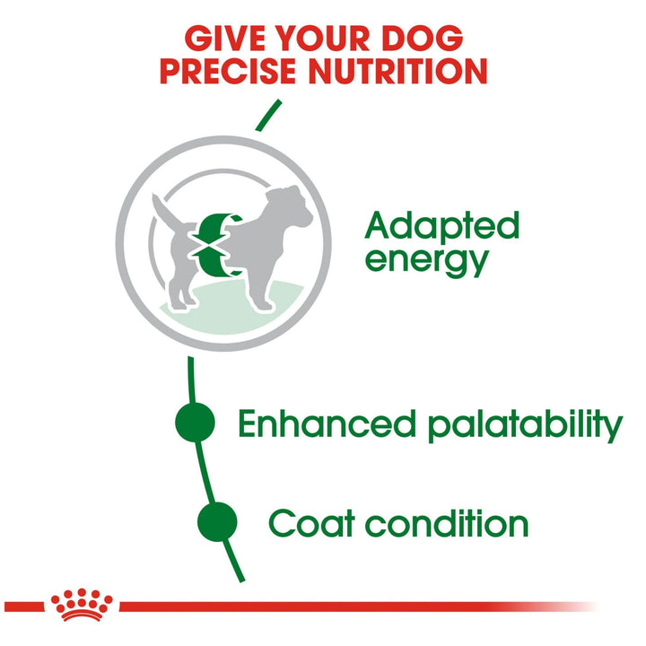 Small Breed Adult Dry Dog Food, 2.5 lb bag