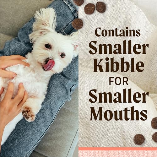 Lil’ Plates Premium Grain Free Dry Dog Food for Small Dogs, Real Salmon and Sweet Potato Kibble - 12.0 lb. Bag