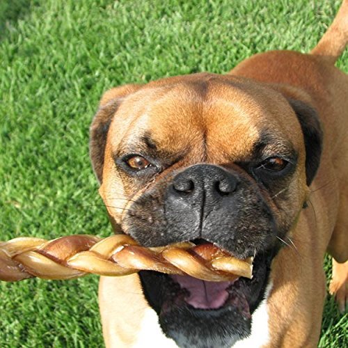 Natural 5” Braided Bully Sticks for Dogs, Tough Long-Lasting, Rawhide-Free, Low Odor, Healthy Single Ingredient Chew Treat for Aggressive Chewers, 10 Count, Packaging May Vary