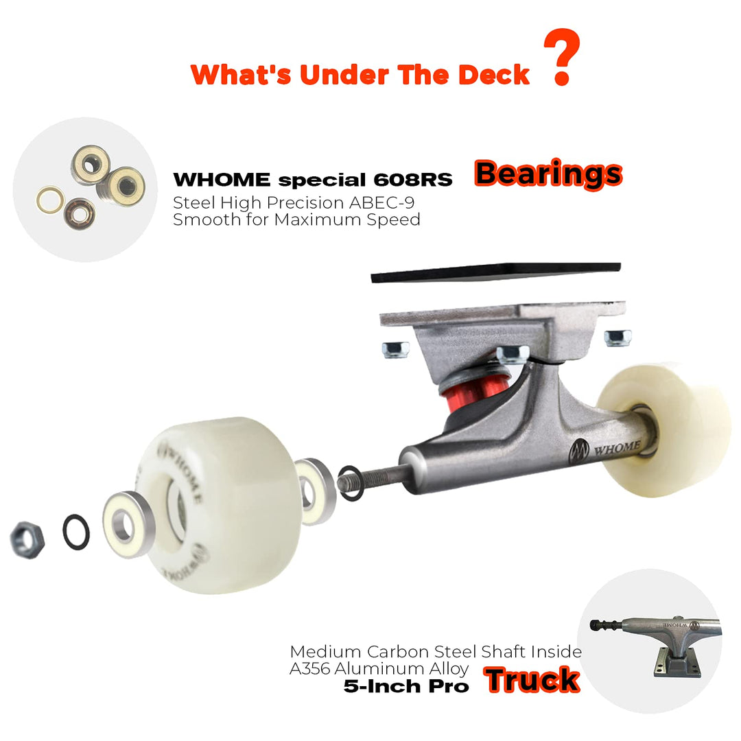 Skateboards for Adults/Kids Teens/Girl Beginner/Boy - 31x8 Pro Standard Skateboard Complete 8-ply Alpine Maple Deck ABEC-9 Bearings with T-Tool
