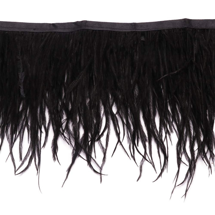 Ostrich Feathers Sewing Fringe Trim Ribbon for Crafts Clothes Accessories Latin Wedding Dress DIY 2 Yards 4-6inch Width (Black)