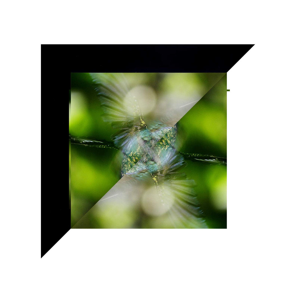 ConClarity 1 in x 30 ft - Vibrancy Enhancing Projector 