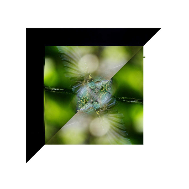ConClarity 1 in x 30 ft - Vibrancy Enhancing Projector 