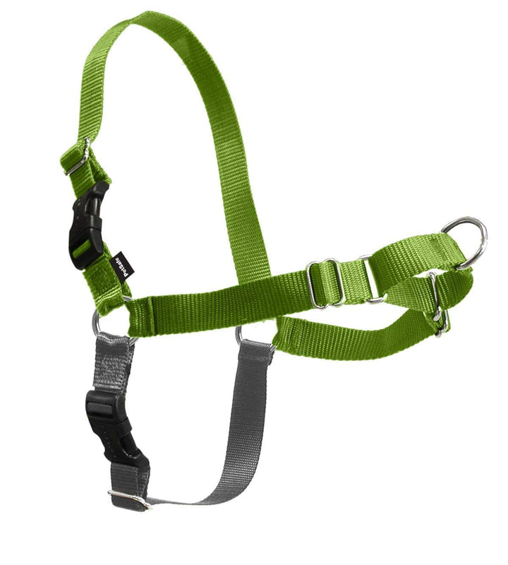 Easy Walk No-Pull Dog Harness - The Ultimate Harness to Help Stop Pulling - Take Control &amp; Teach Better Leash Manners - Helps Prevent Pets Pulling on Walks, Large, Apple Green/Gray