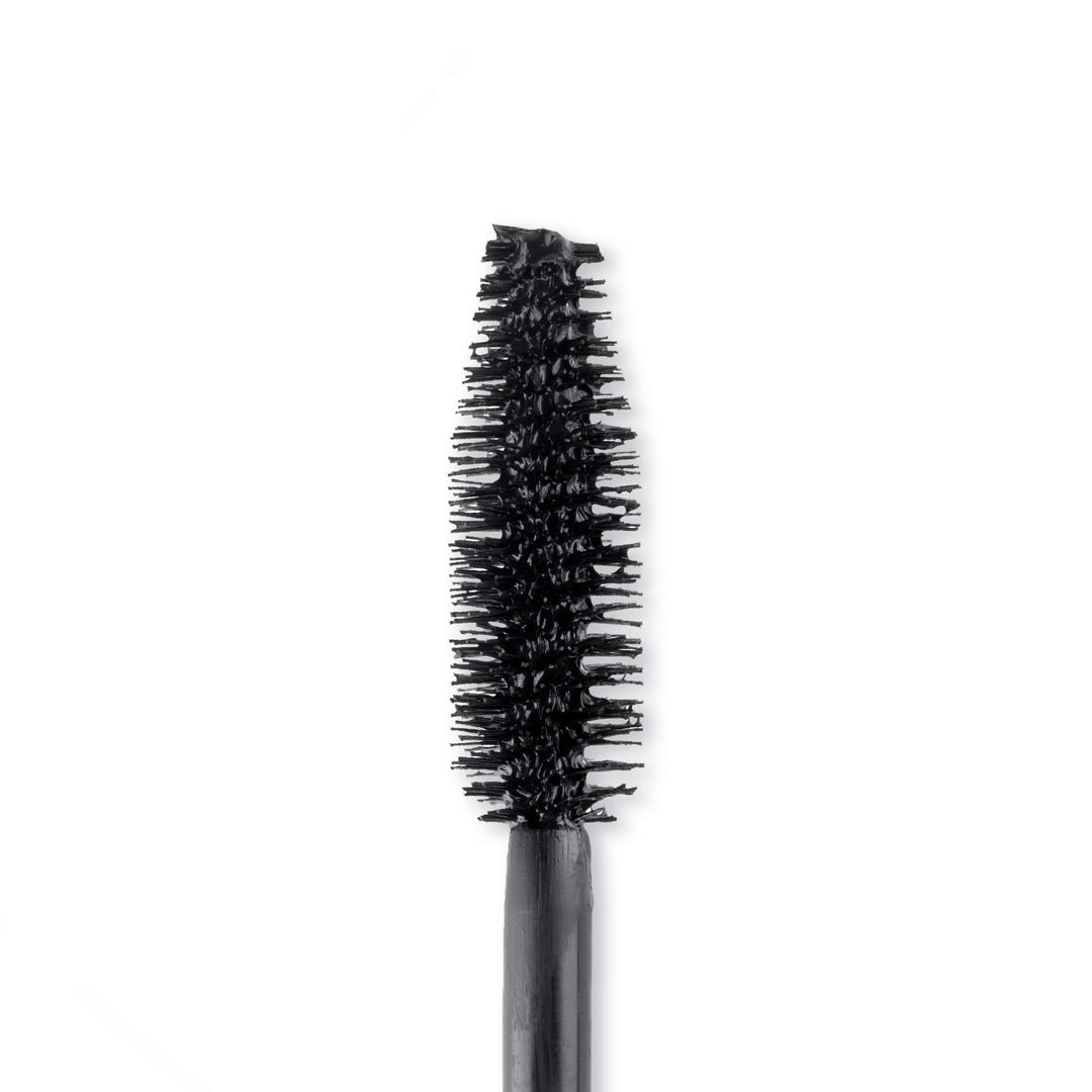 Brush In Black (Case of 6)