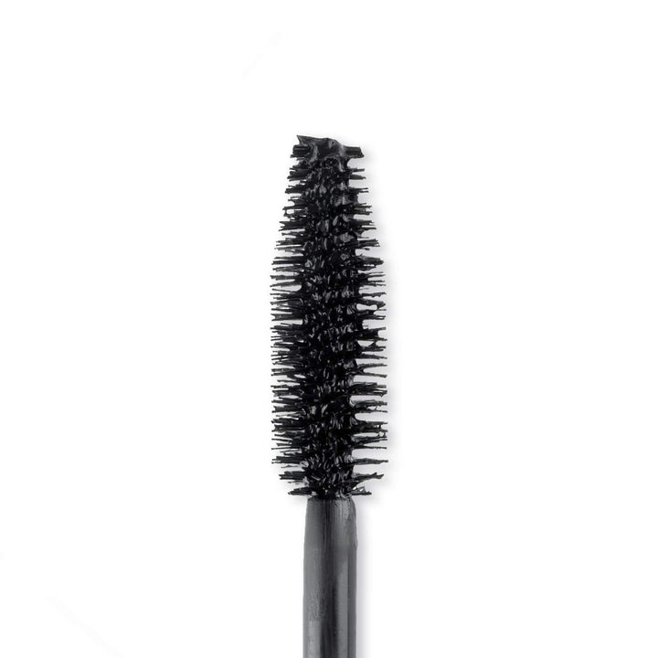 Brush In Black (Case of 6)