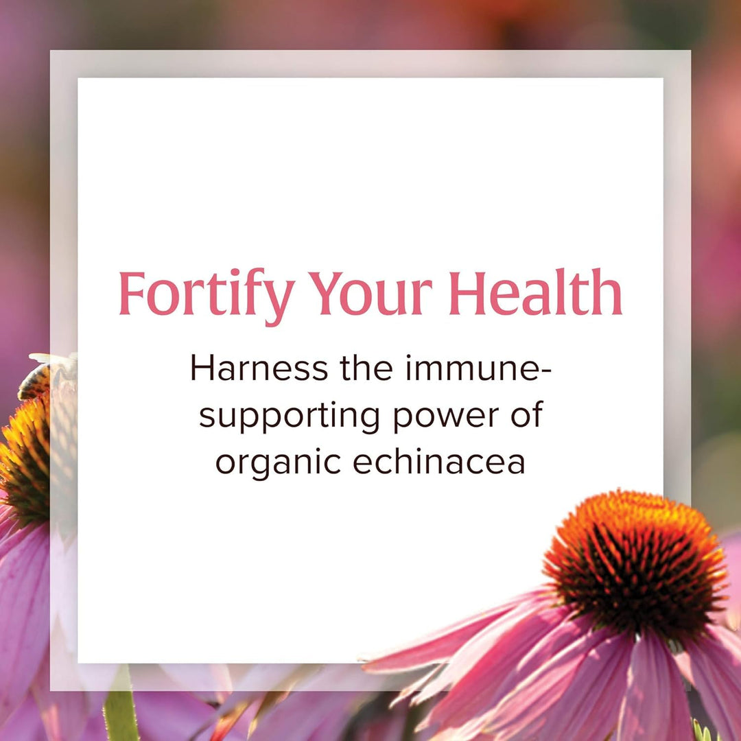 Natural Factors, Anti-V Liquid Formula, Echinacea Supplement for Immune and Wellness Support, Organic, Non-GMO, 3.4 oz (100 servings)
