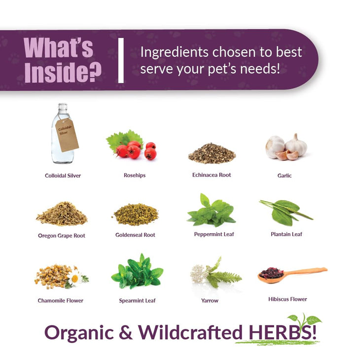 Amber NaturalZ Paxaid Digestive Rescue Herbal Supplement for Dogs and Puppies | Canine Herbal Supplement for Occasional Digestive Upset Support | 1 Fluid Ounce Glass Bottle | Manufactured in The USA