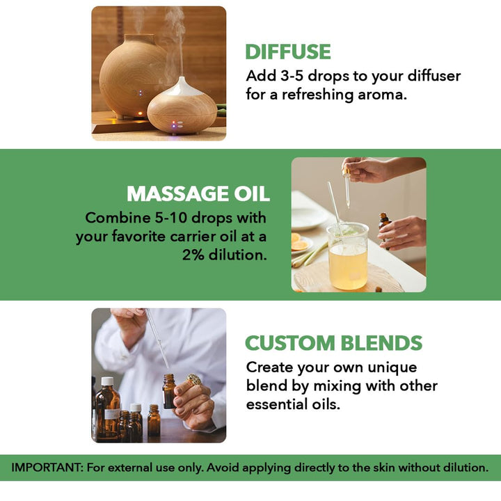MAJESTIC PURE Tea Tree Essential Oil | 100% Pure and Na