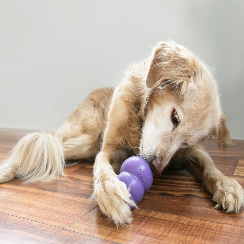 Senior - Dog Toy with Gentle, Natural Rubber - Durable Dog Toy for Older Dogs - Use Treats with Stuffable Chew Toy - Treat Toy for Chewing & Fetching - for Medium Dogs