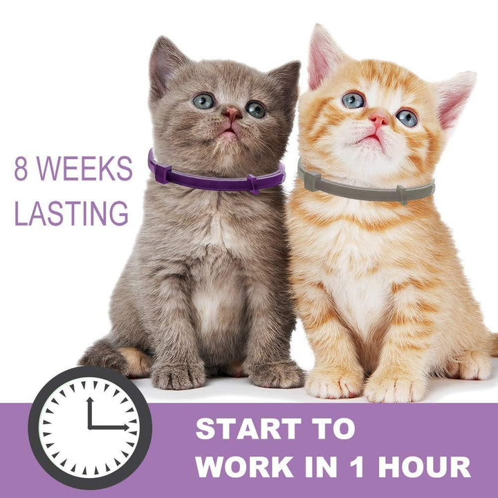 Nature&#39;s Miracle Urine Destroyer for Dogs, Light Fresh Scent, Tough on Strong Dog Urine and The Yellow Sticky Residue