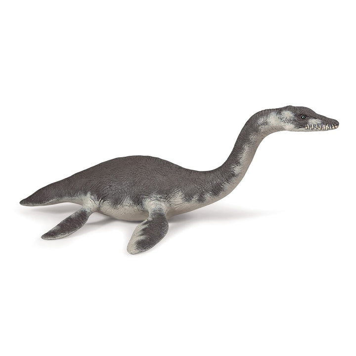 The Dinosaur Figure, Plesiosaurus, Multicolor
