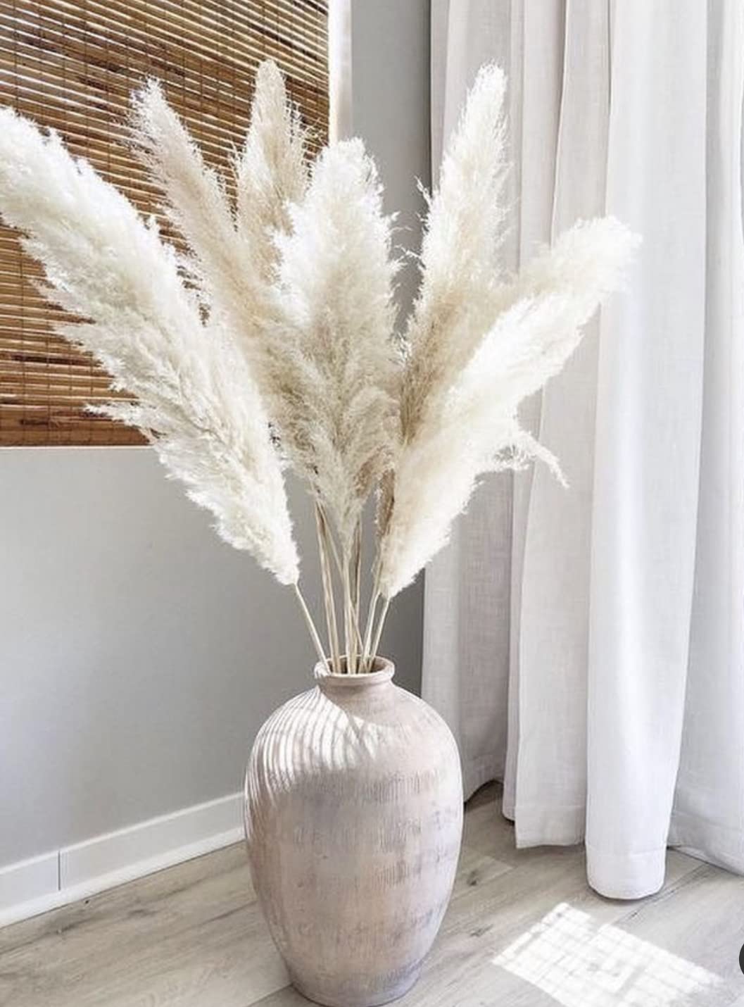 ® Pure White Pampas Grass, White Pampas Grass Decor Tall Fluffy (3 Stems). Tall Pampas Grass 48 inch (120 cm) (4Ft), Giant Pampas Grass, Boho Decor.