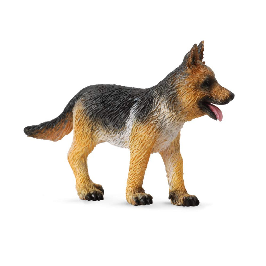 German Shepherd Puppy, 2.6L x 1.7H