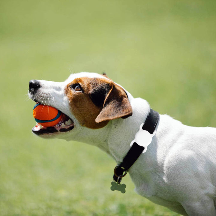 AirTag Dog Collar Holder [2 Pack] - Durable Apple AirTag Holder Secure Lock for GPS Tracking, Anti-Slip Waterproof Pet Collar Accessories (Black&amp;White)