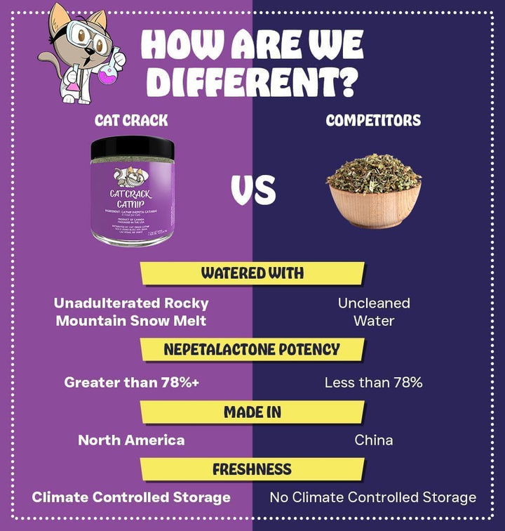 Cat Crack Organic Catnip, 100% Natural Cat Nips Organic Blend That Energizes and Excites Cats, Safe Catnip Treats Used for Cat Play, Cat Training, & New Organic Catnip Toys for Cats(1 Cup Organic)