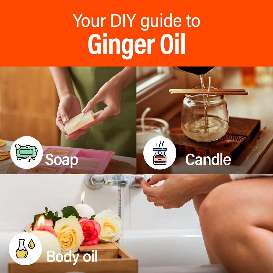 Ginger Essential Oil - 100% Pure Therapeutic Grade for 