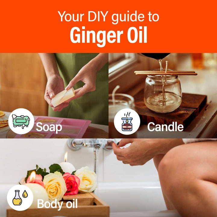 Ginger Essential Oil - 100% Pure Therapeutic Grade for 